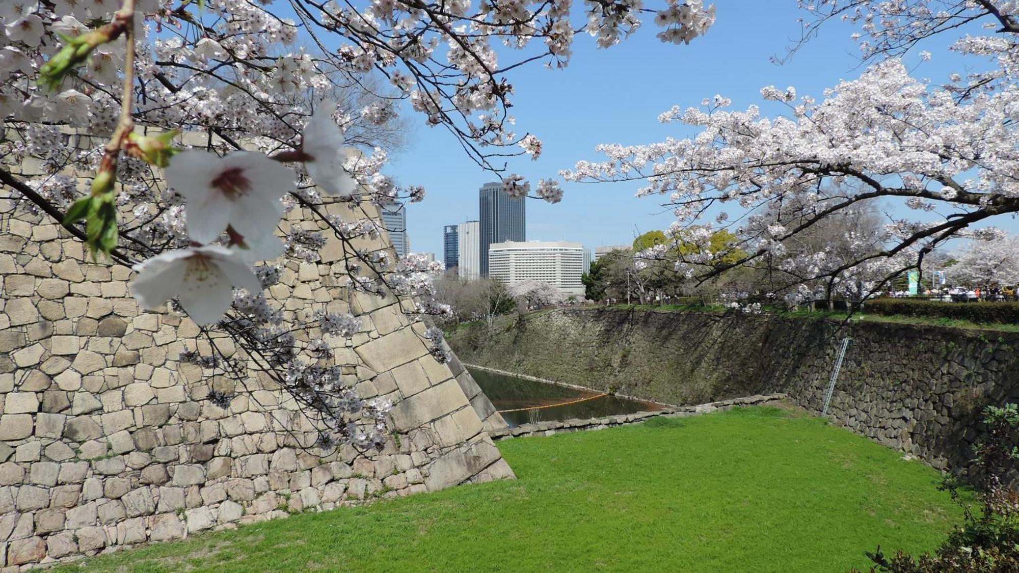 Hotel New Otani Osaca Exterior foto Sakura at the castle